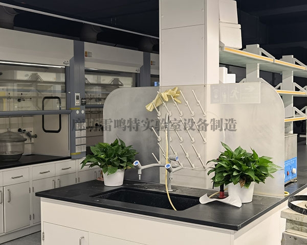高標準實驗室建設，日皮视频免费观看為什麽依靠硬核實力成為行業主流標配